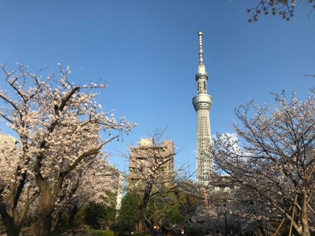 Sky Tree Inn Tokió Kültér fotó