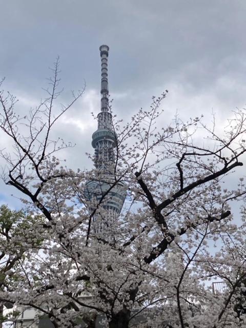 Sky Tree Inn Tokió Kültér fotó