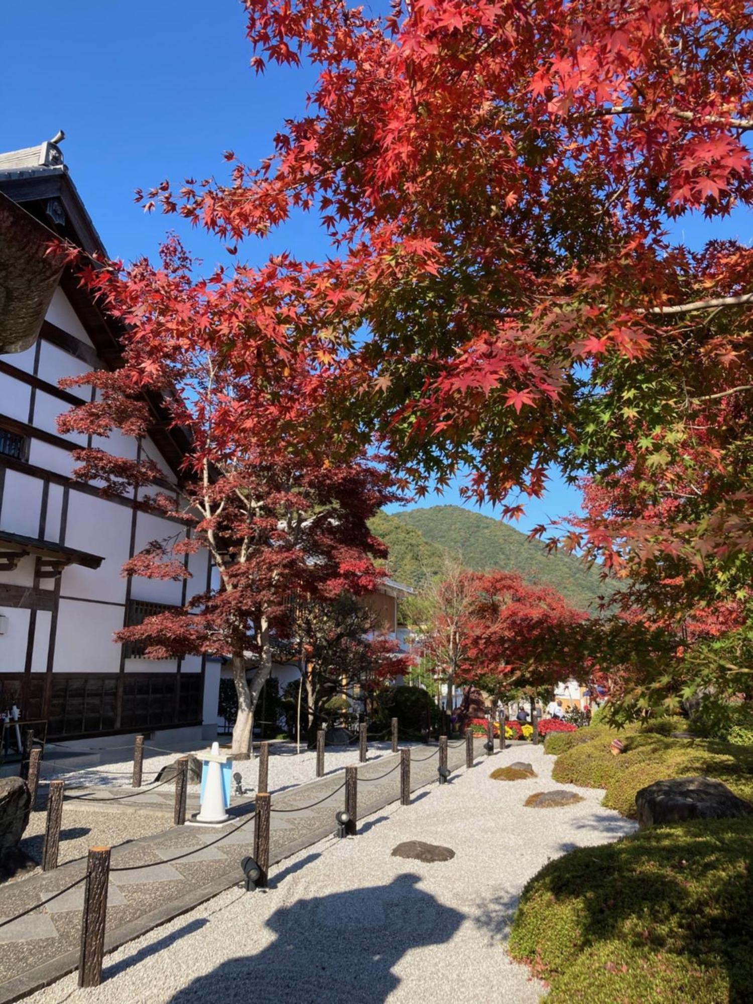Sky Tree Inn Tokió Kültér fotó